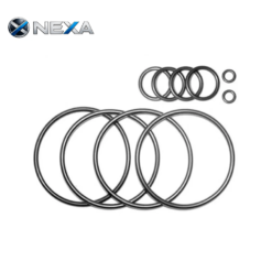 O-Ring V-Ring
