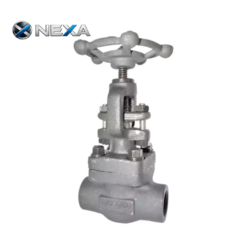 Van cầu ECOLINE GLF 800